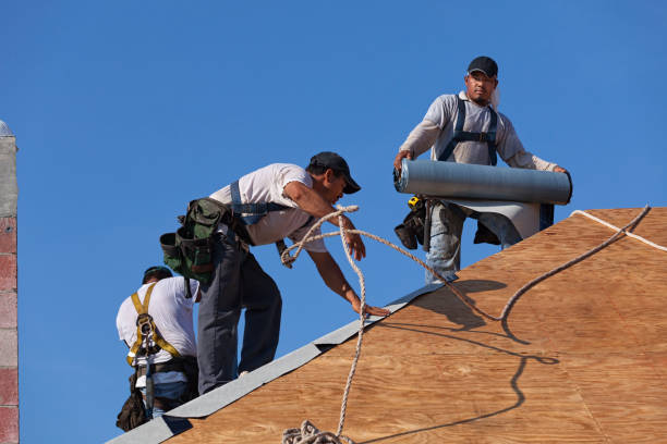 Professional Roofing Contractor in Dublin, CA
